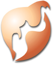 Logo dei Mawasi (artwork by Sat'Rain)